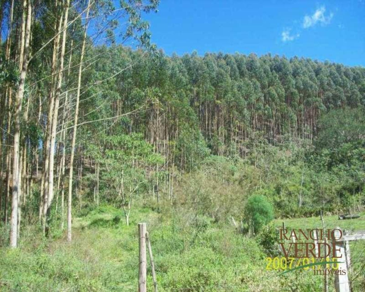 Fazenda de 209 ha em Tremembé, SP