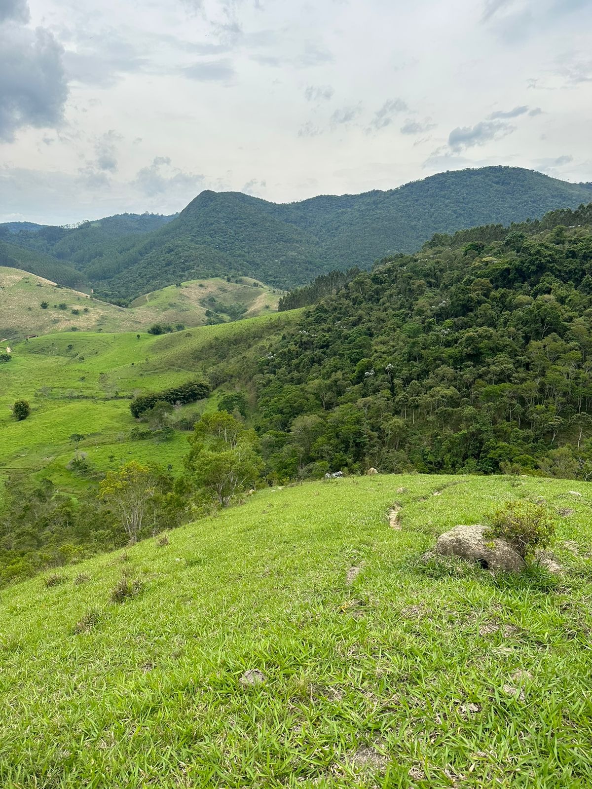 Fazenda de 73 ha em Natividade da Serra, SP