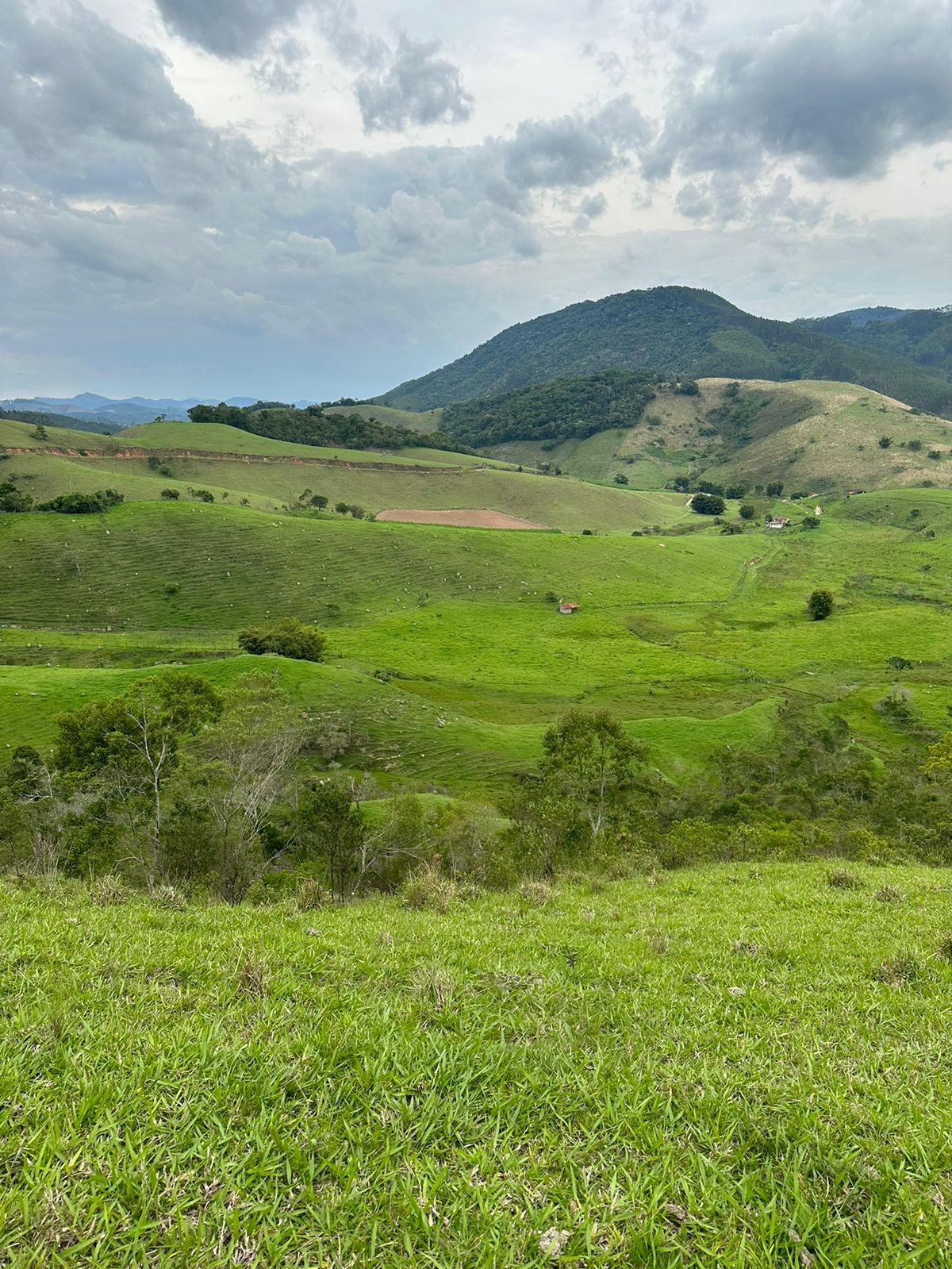 Fazenda de 73 ha em Natividade da Serra, SP