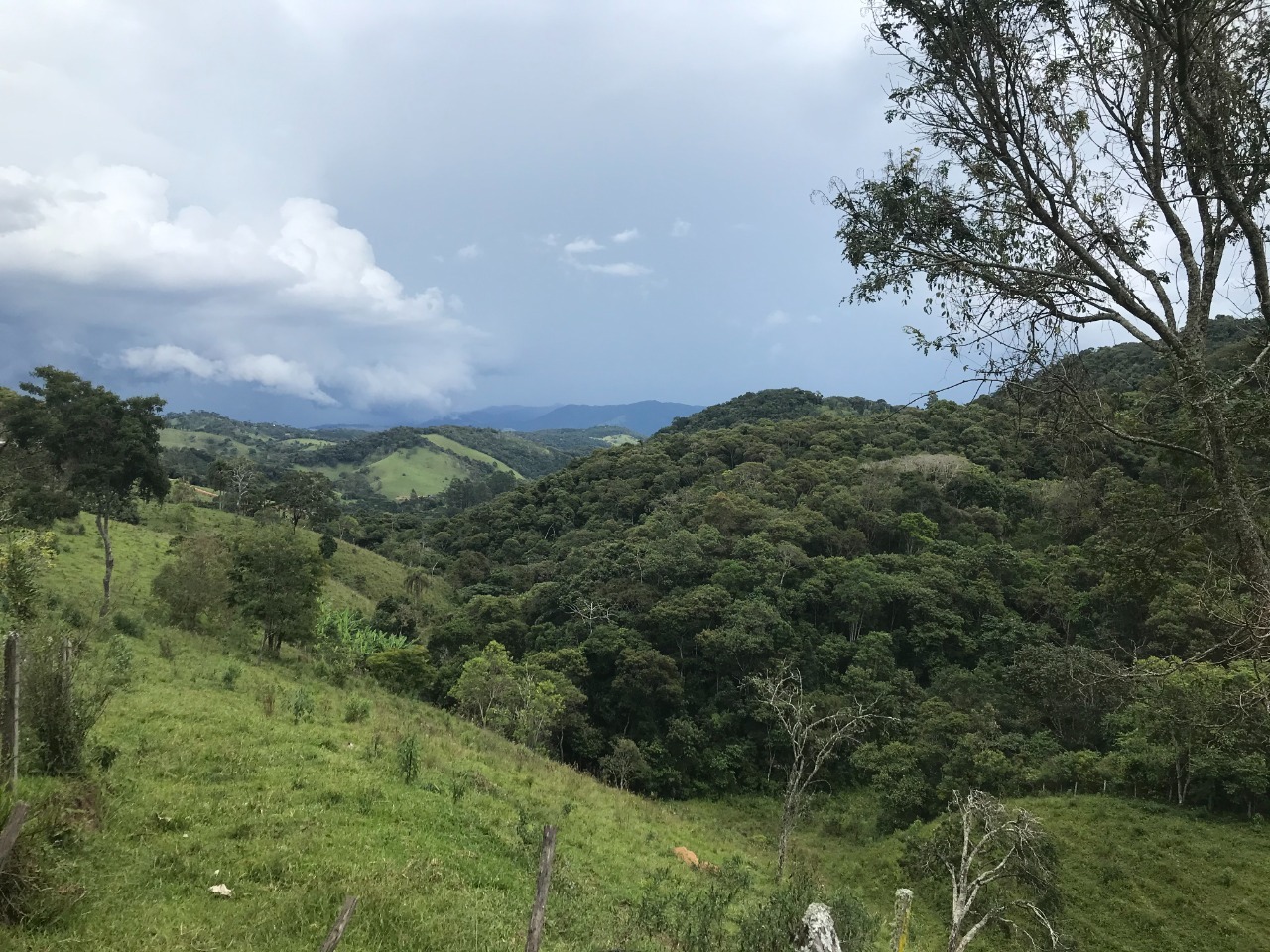 Terreno de 5 ha em Santo Antônio do Pinhal, SP