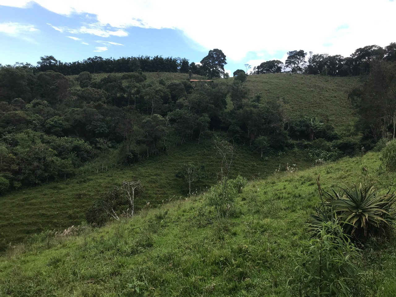 Terreno de 5 ha em Santo Antônio do Pinhal, SP