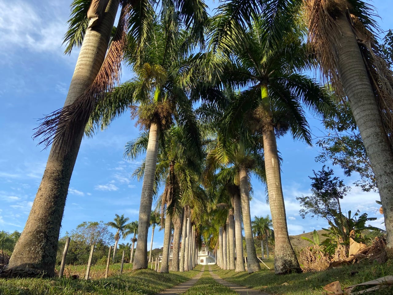 Sítio de 3 ha em Paraibuna, SP