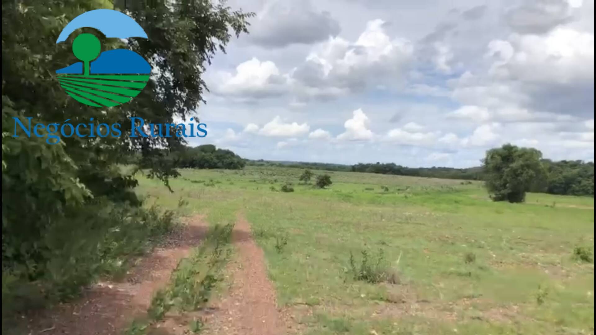 Fazenda de 2.178 ha em Crixás, GO