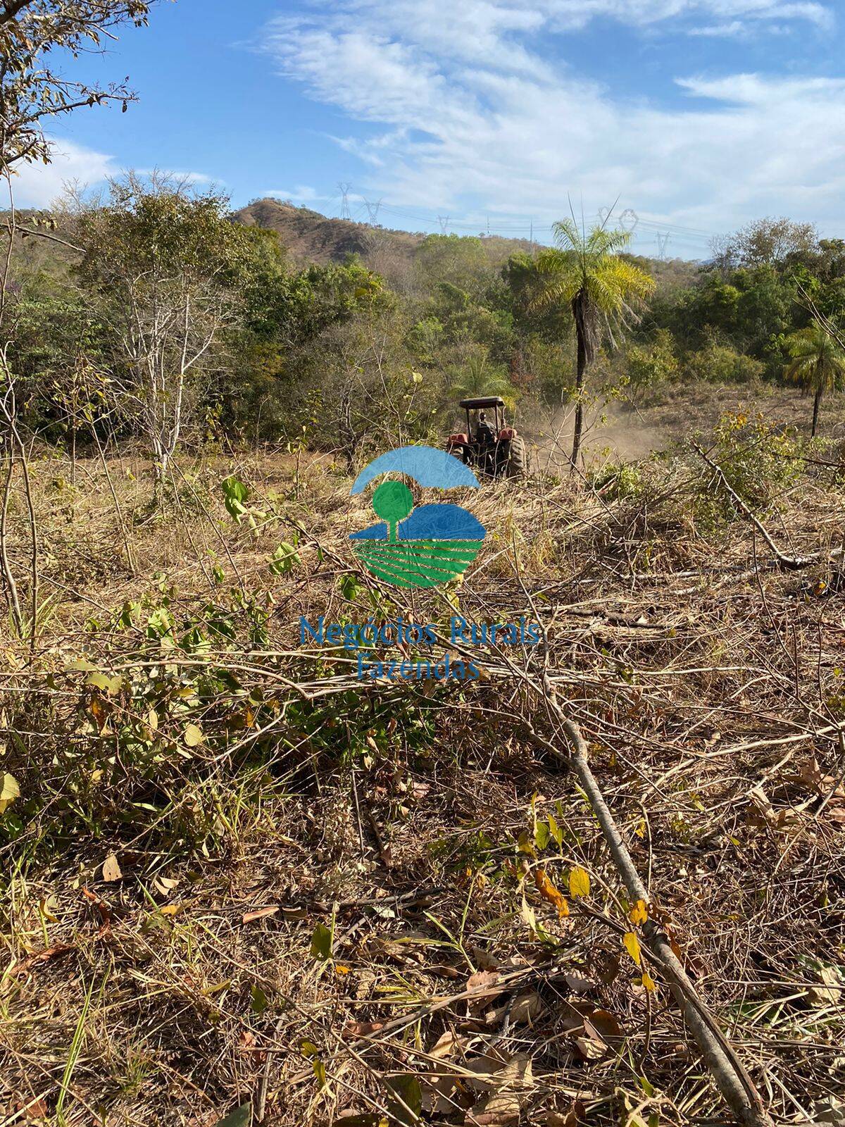 Fazenda de 160 ha em Niquelândia, GO