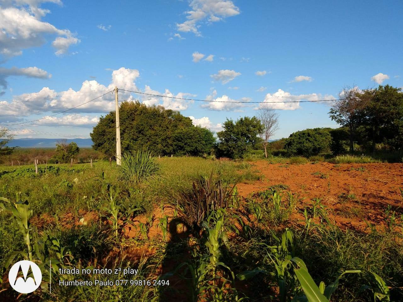 Fazenda de 580 ha em Oliveira dos Brejinhos, BA