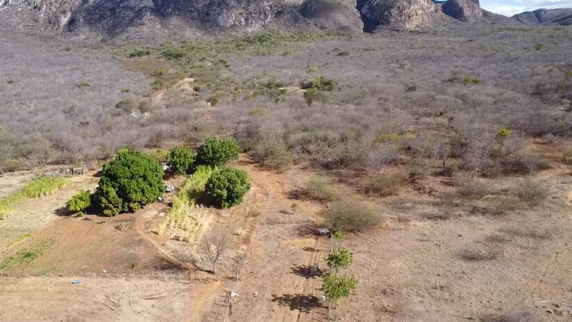 Fazenda de 580 ha em Oliveira dos Brejinhos, BA