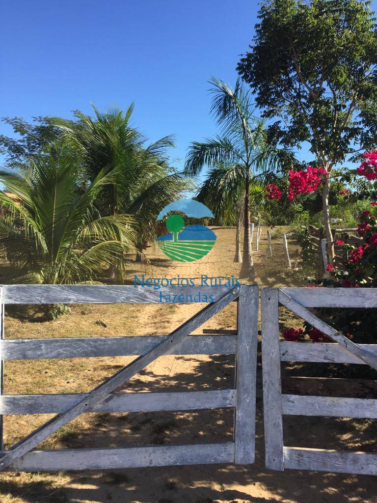 Fazenda de 774 ha em Conceição do Tocantins, TO