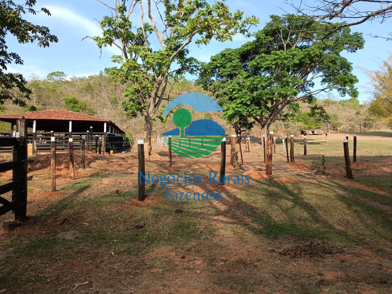 Fazenda de 562 ha em Padre Bernardo, GO