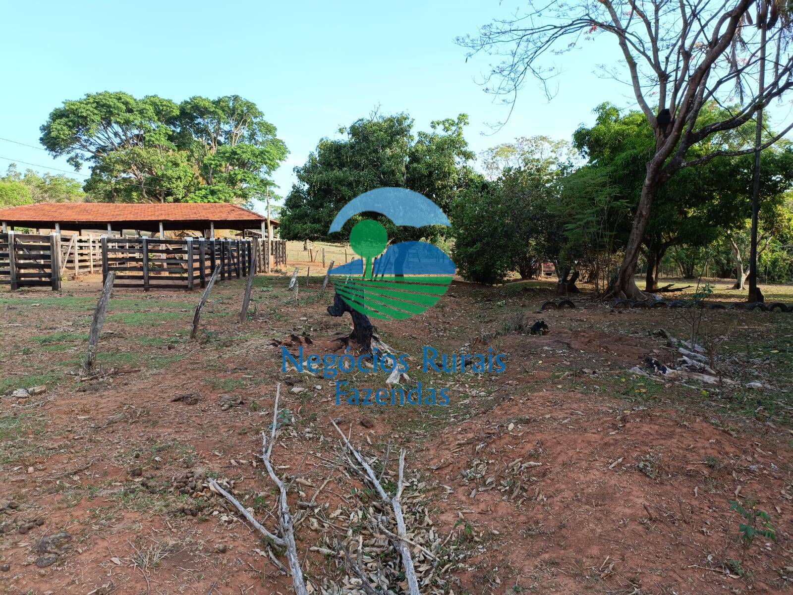 Fazenda de 562 ha em Padre Bernardo, GO