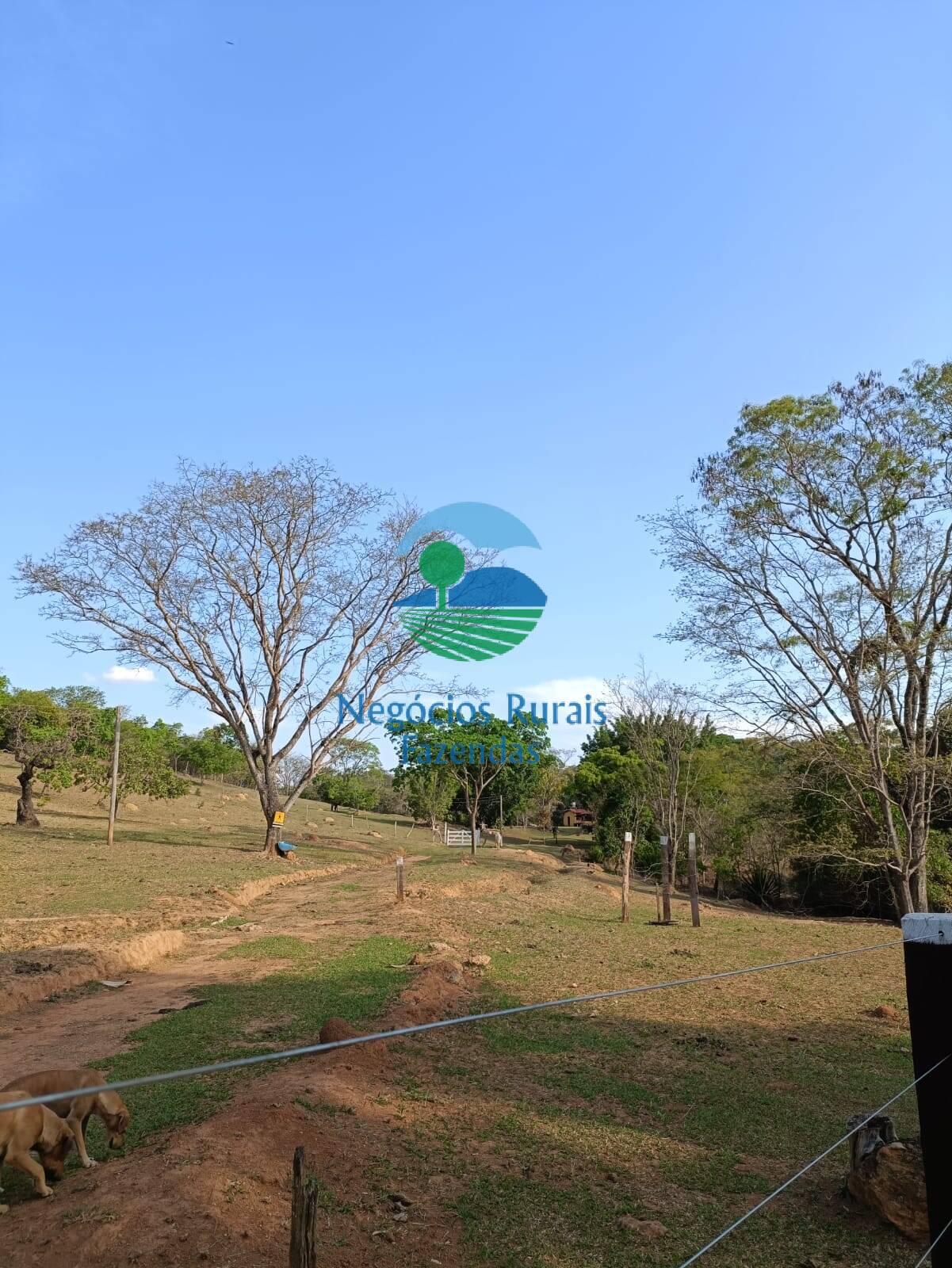 Fazenda de 562 ha em Padre Bernardo, GO