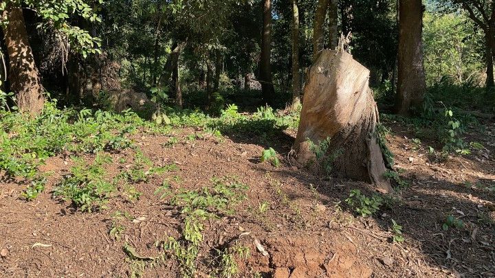 Chácara de 1.050 m² em Caraá, RS