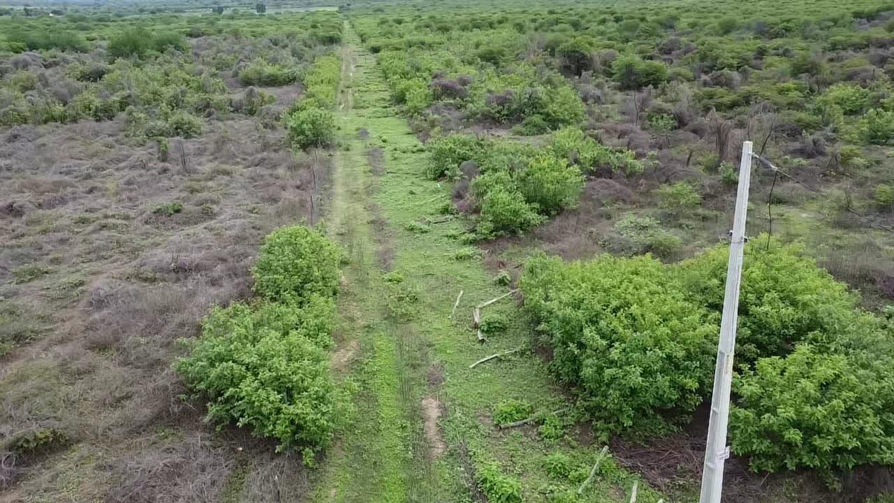 Fazenda de 222 ha em Morpará, BA