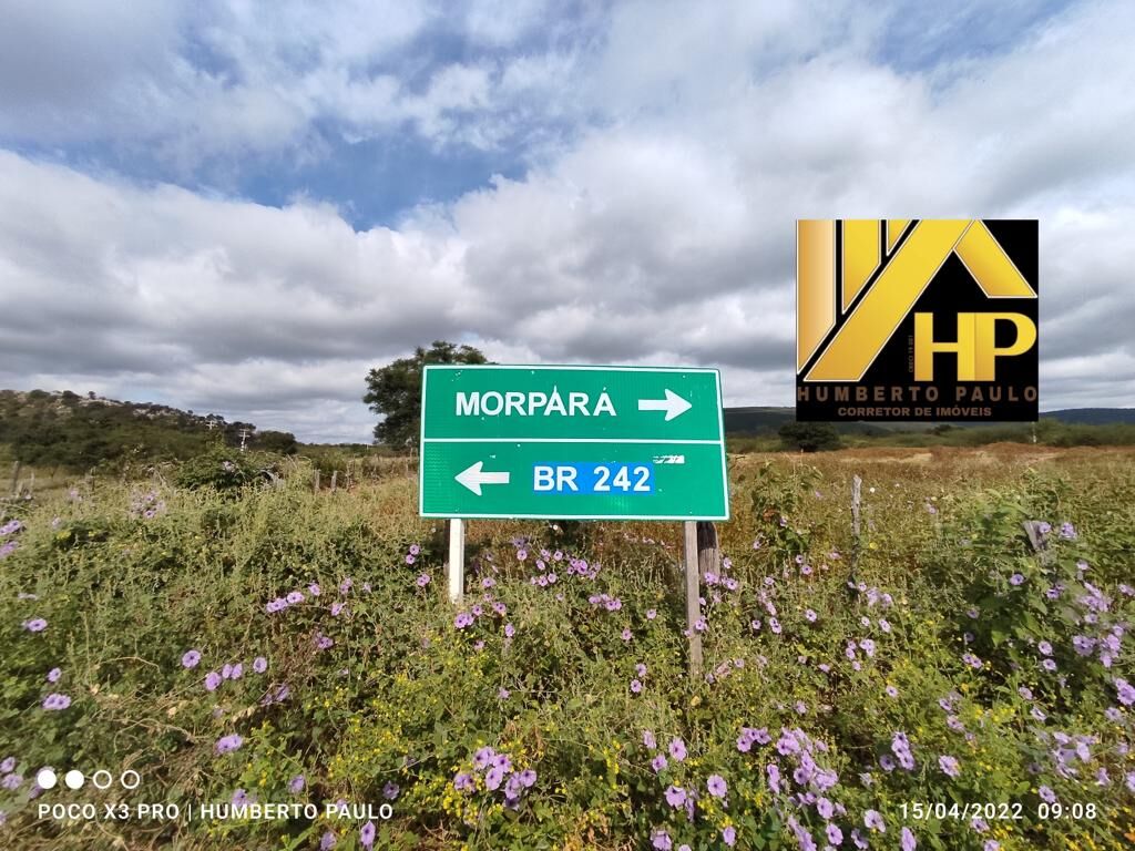 Fazenda de 222 ha em Morpará, BA