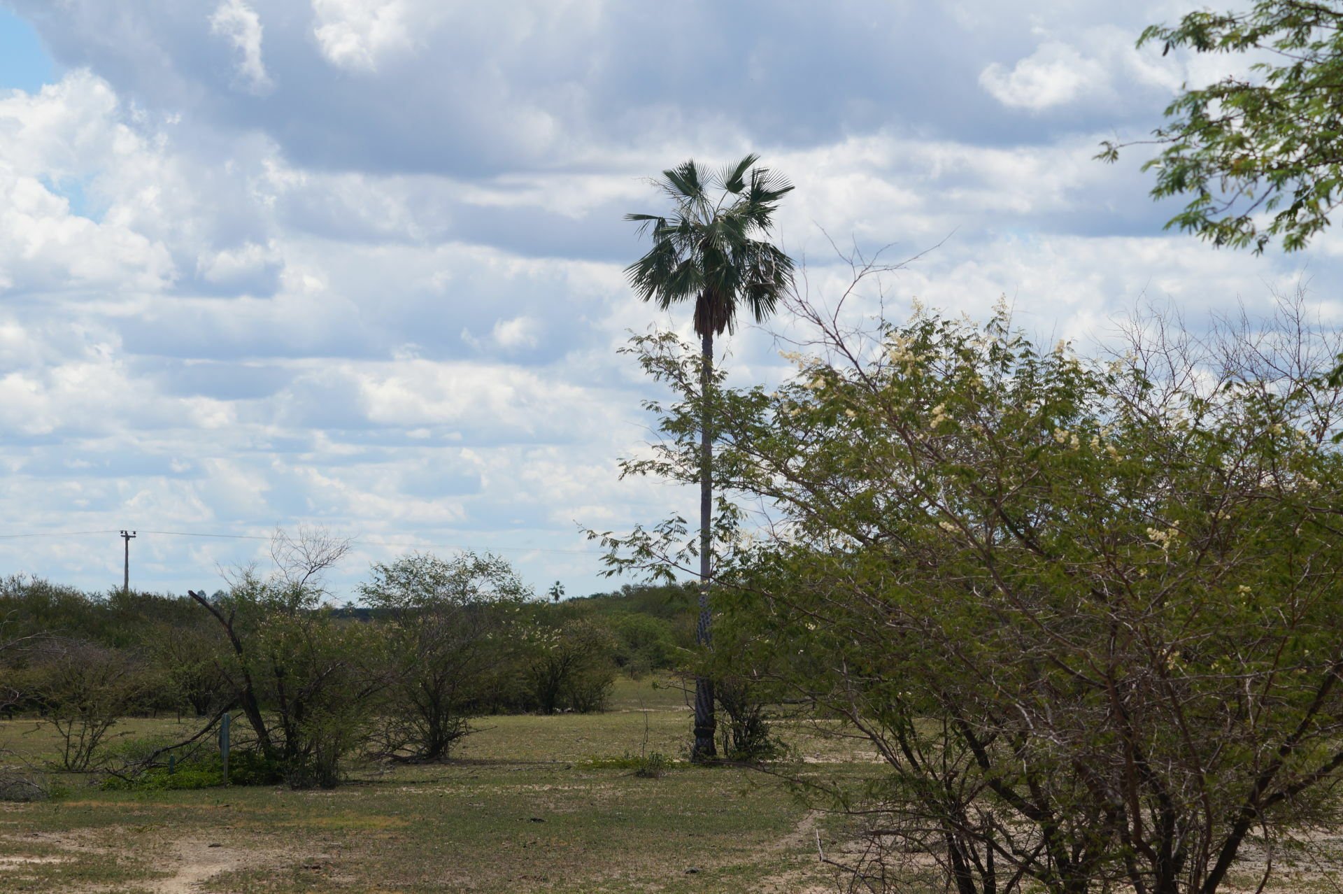 Fazenda de 2.650 ha em Paratinga, BA