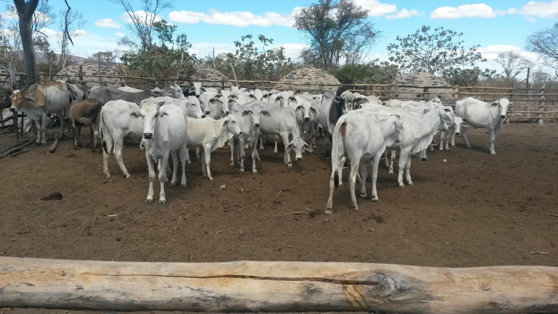 Fazenda de 2.650 ha em Paratinga, BA