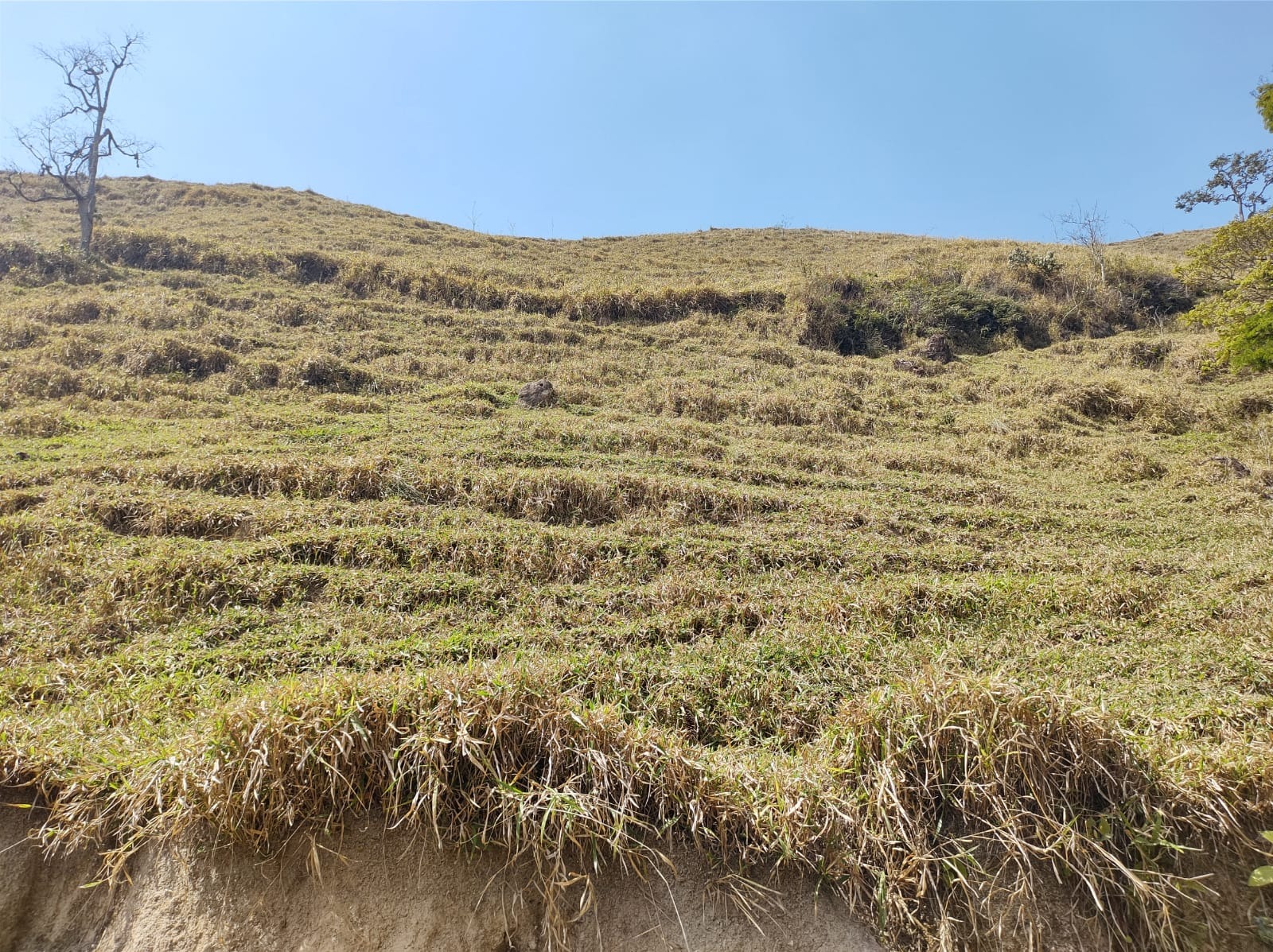 Fazenda de 39 ha em São José dos Campos, SP