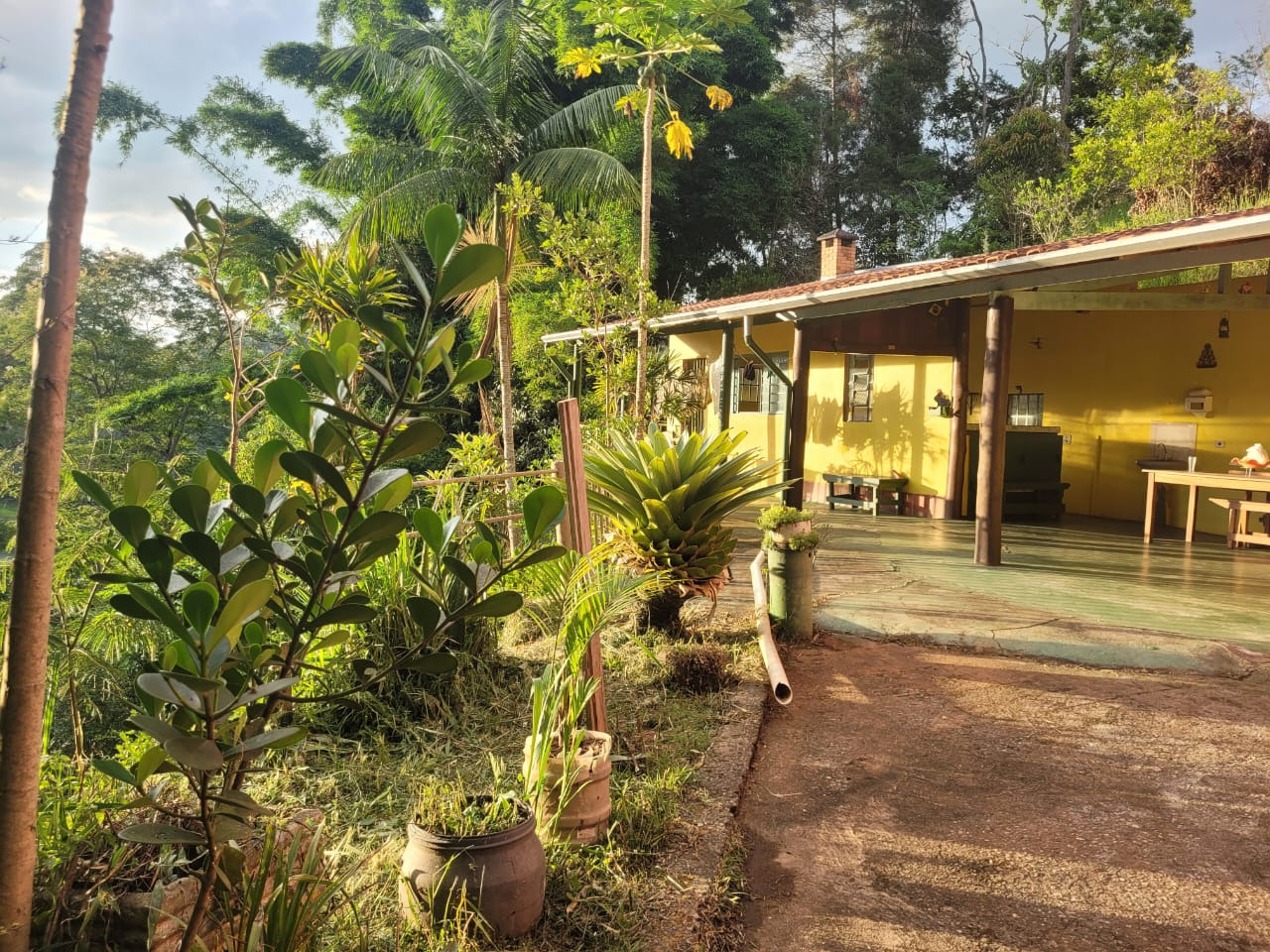 Chácara de 5.000 m² em Jambeiro, SP