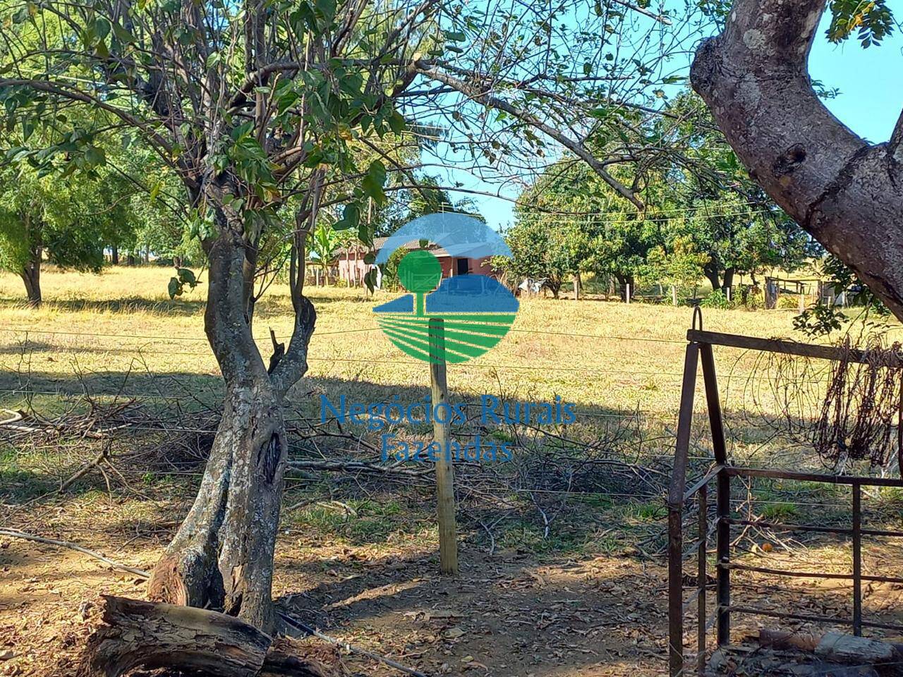 Fazenda de 208 ha em Anápolis, GO