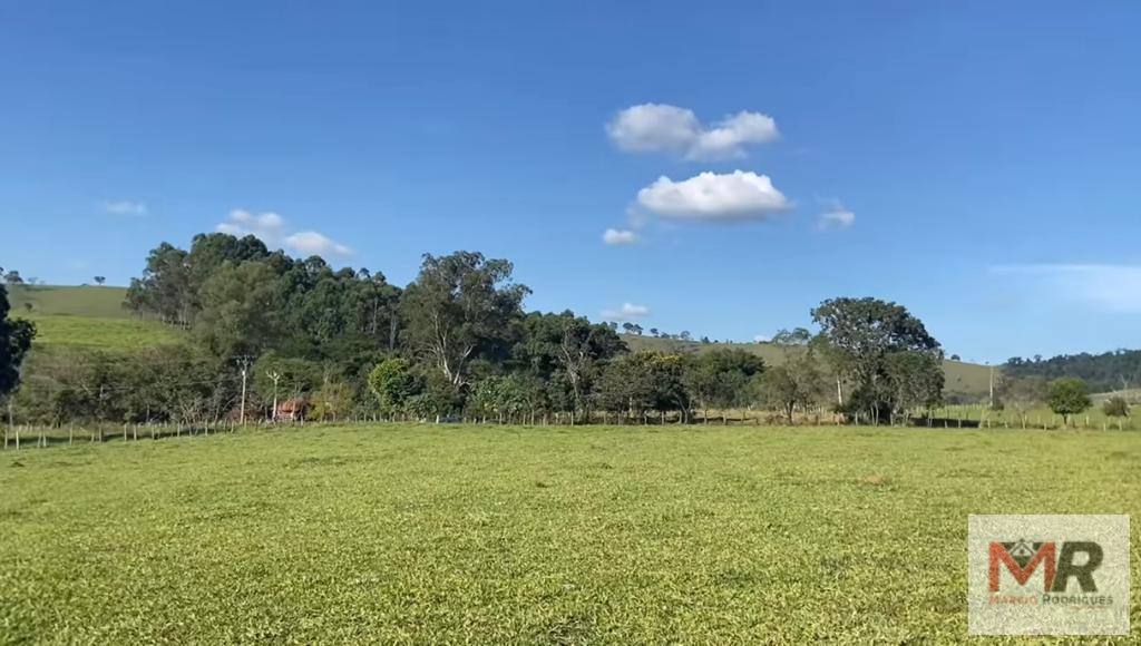 Terreno de 10 ha em Cambuí, MG