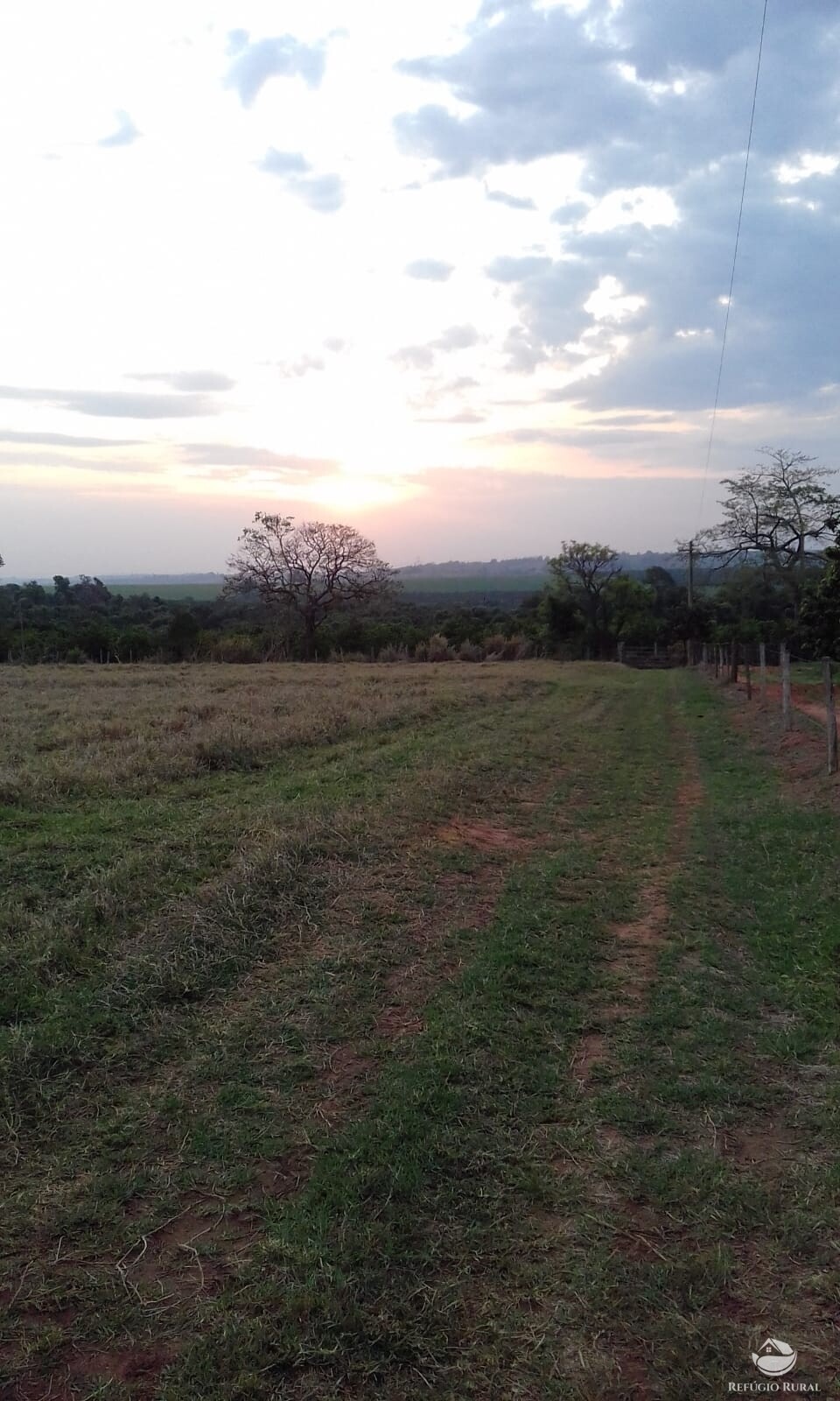 Chácara de 3 ha em Mogi Mirim, SP