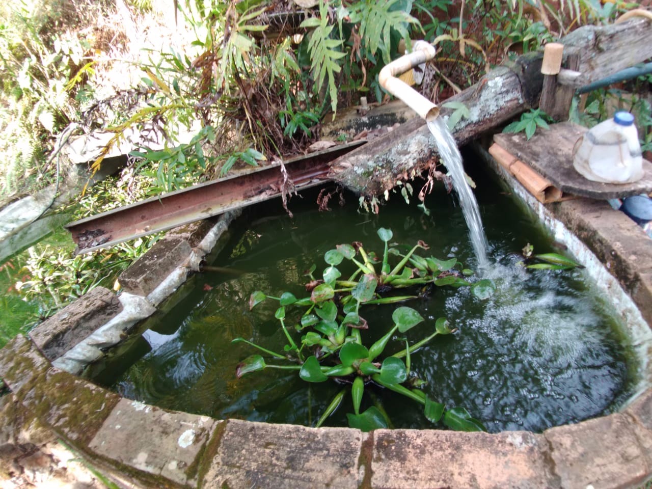 Sítio de 4 ha em Taubaté, SP