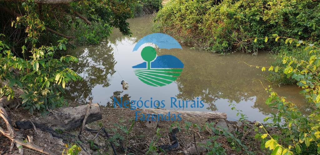 Fazenda de 961 ha em Paraíso do Tocantins, TO