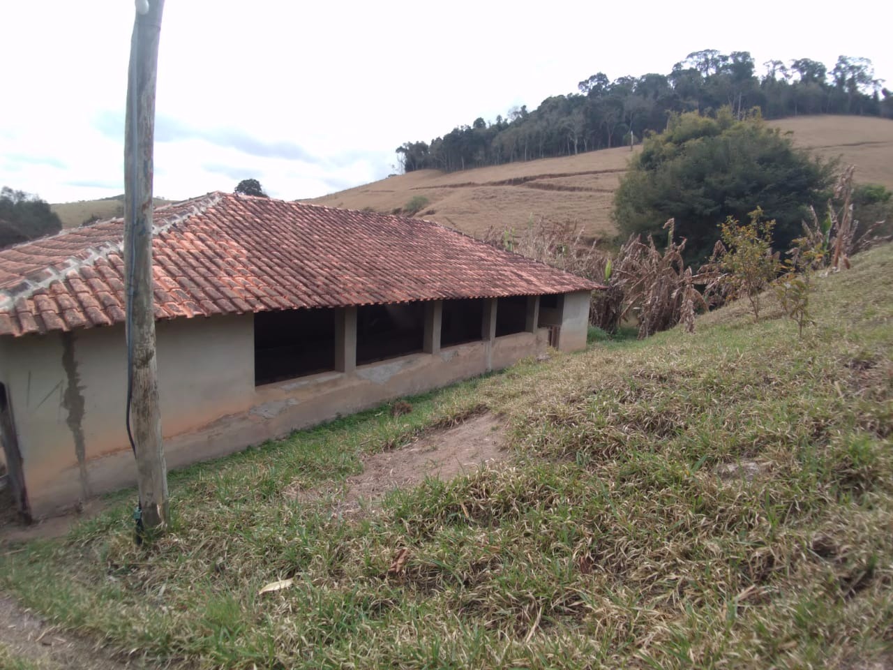 Fazenda de 157 ha em Cunha, SP