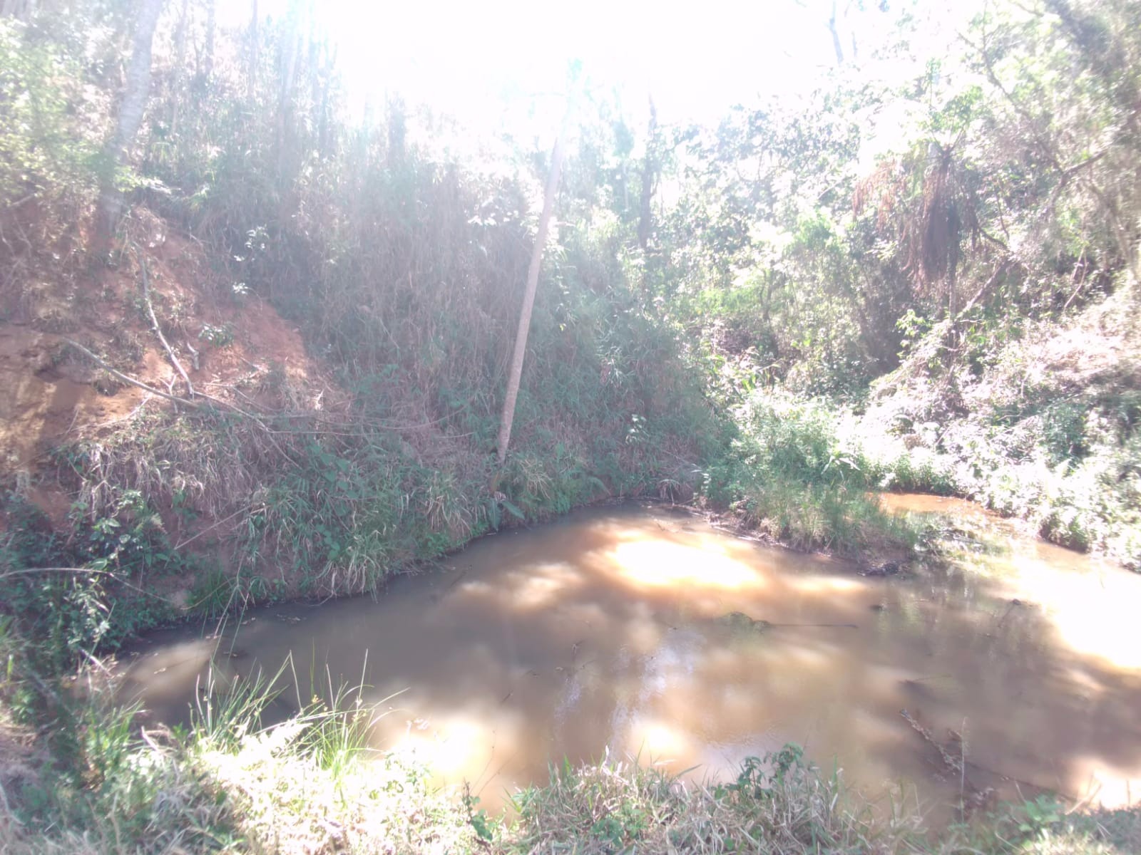 Fazenda de 157 ha em Cunha, SP