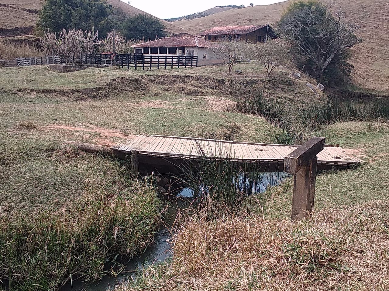 Fazenda de 157 ha em Cunha, SP