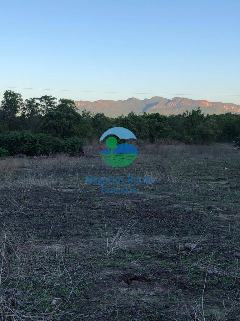 Fazenda de 3.338 ha em Paranã, TO