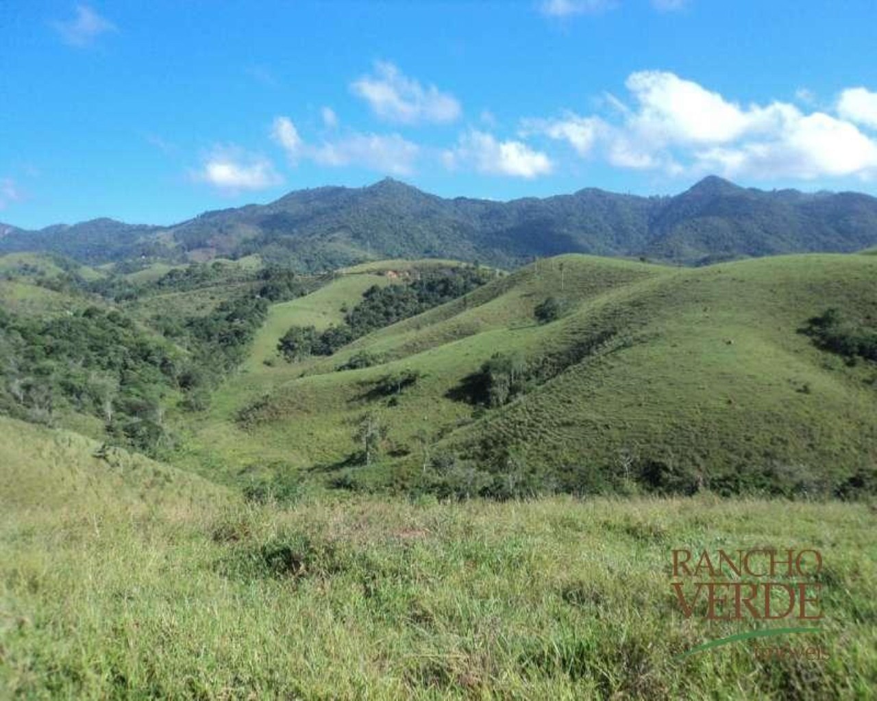 Fazenda de 65 ha em Taubaté, SP