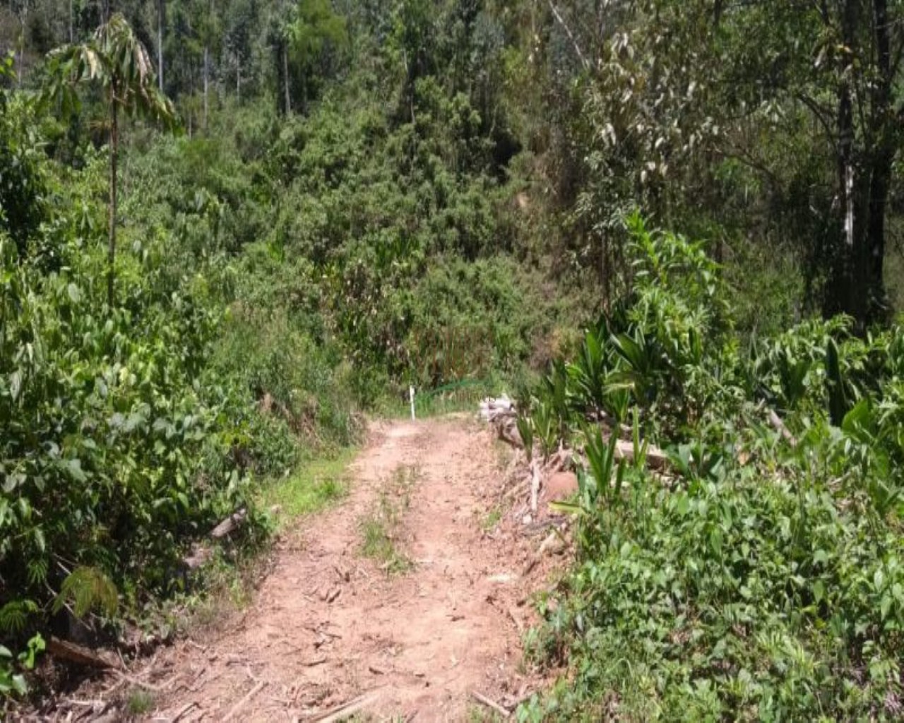 Terreno de 19 ha em Monteiro Lobato, SP