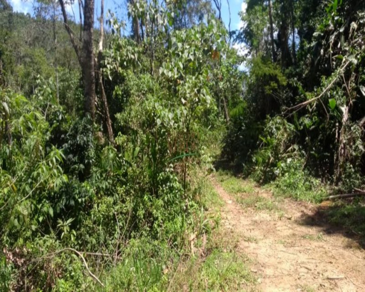 Terreno de 19 ha em Monteiro Lobato, SP