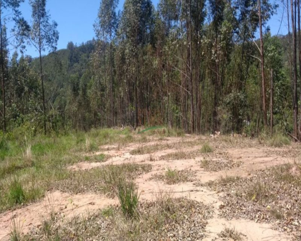 Terreno de 19 ha em Monteiro Lobato, SP