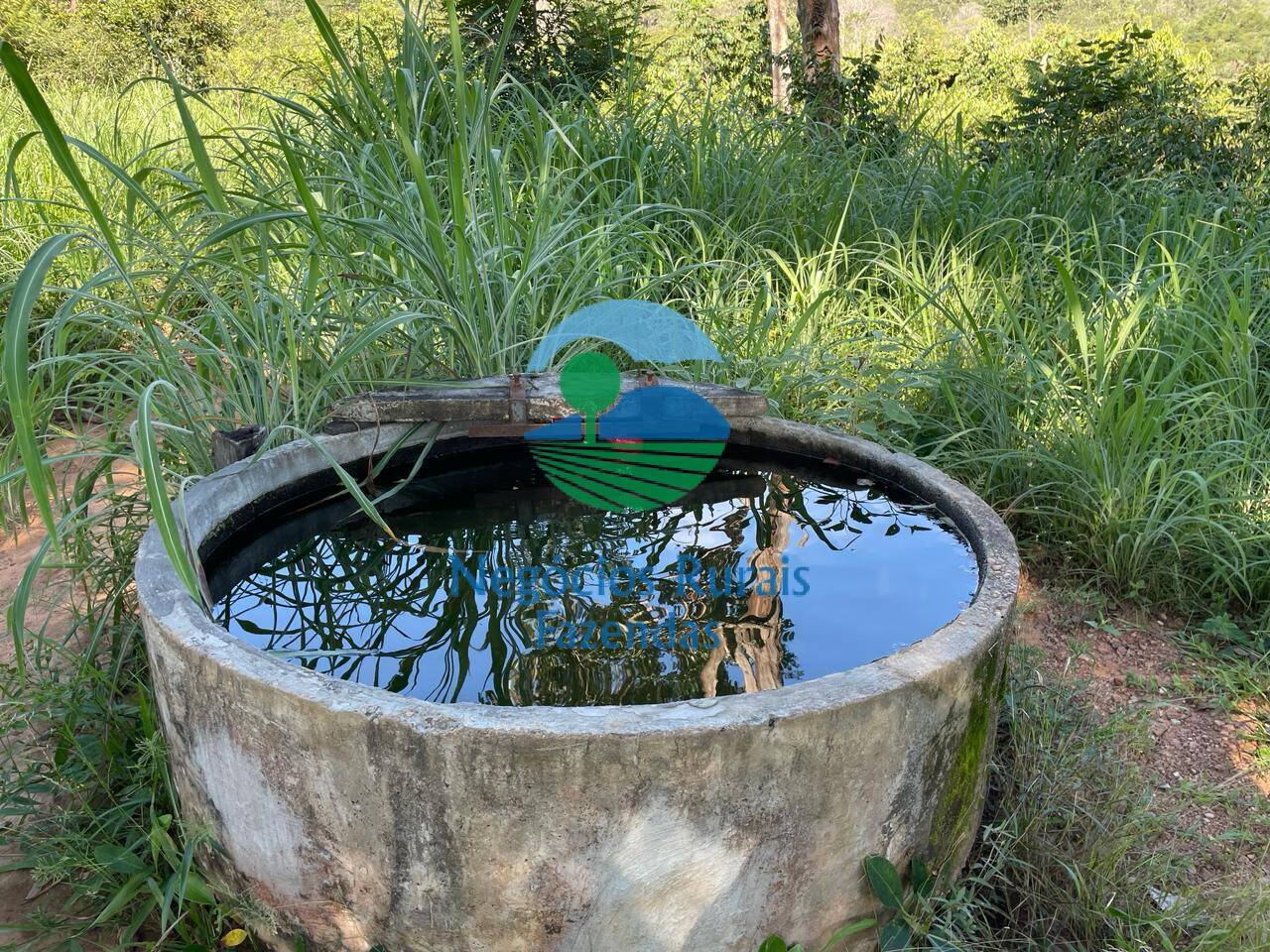 Fazenda de 121 ha em Campinaçu, GO