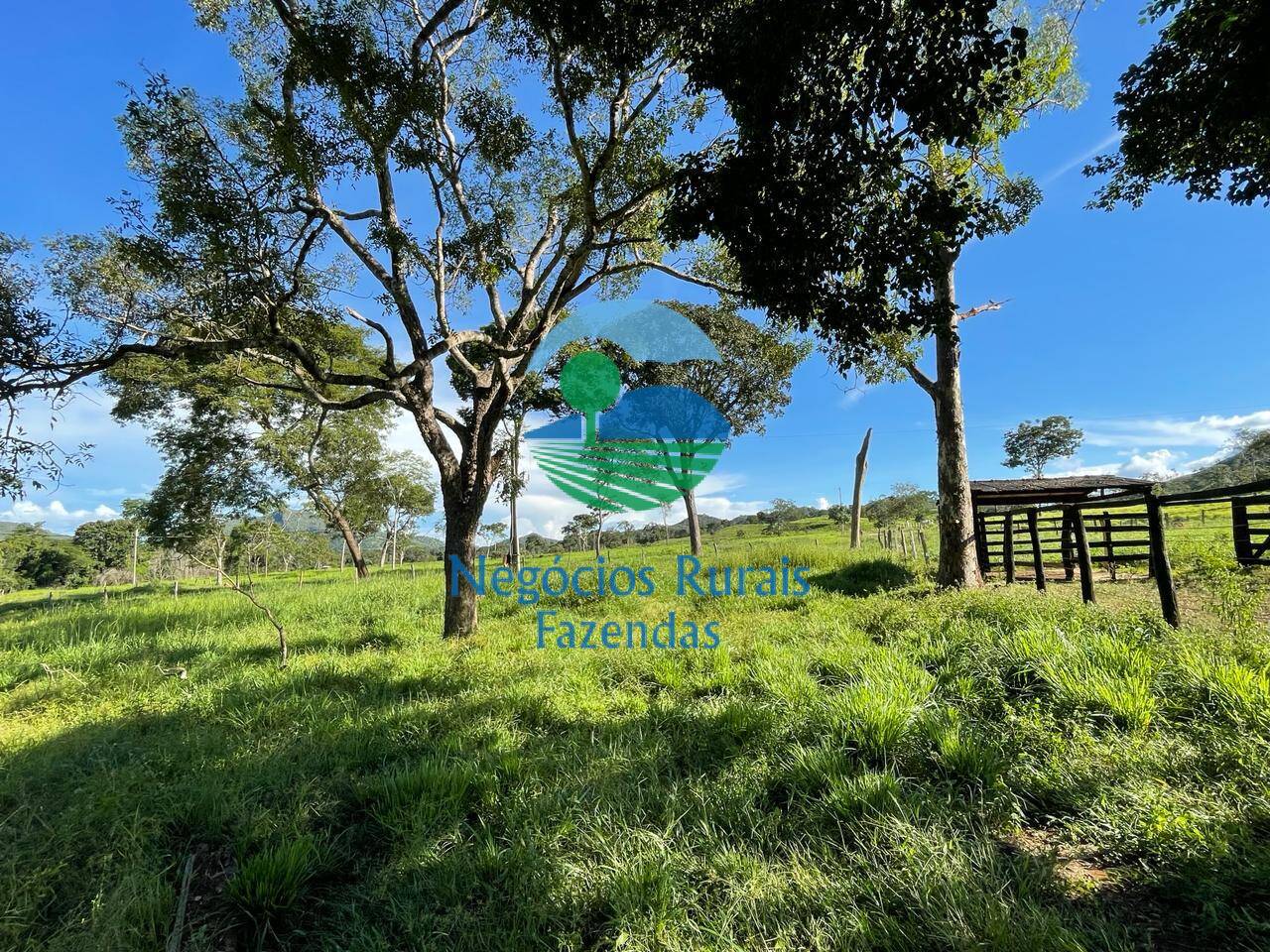 Fazenda de 121 ha em Campinaçu, GO