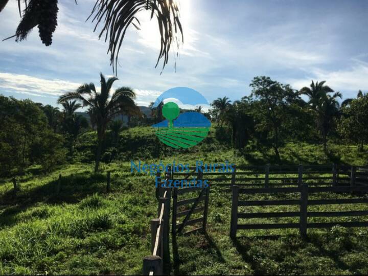 Fazenda de 1.021 ha em Cavalcante, GO