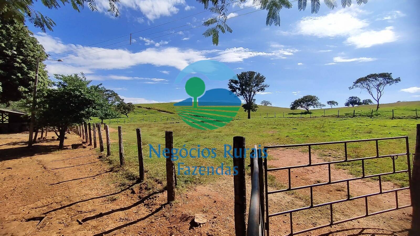 Fazenda de 803 ha em Goianésia, GO