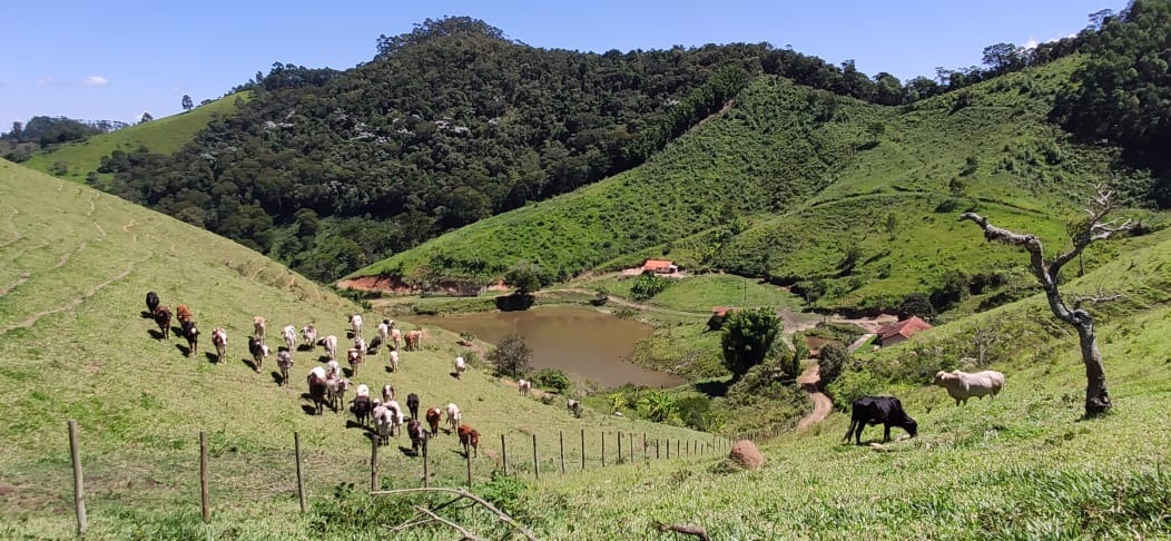 Fazenda de 109 ha em São Luiz do Paraitinga, SP