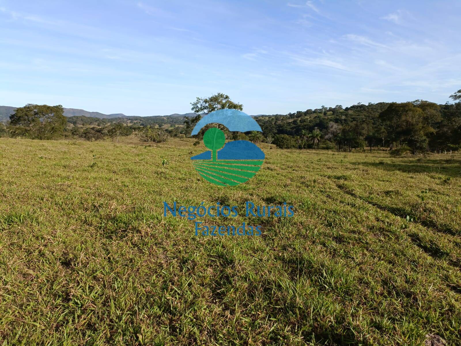 Fazenda de 532 ha em Uruaçu, GO