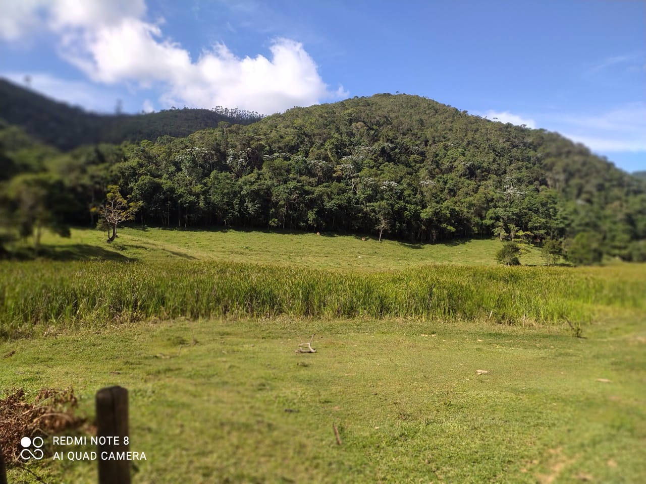 Sítio de 36 ha em Paraibuna, SP