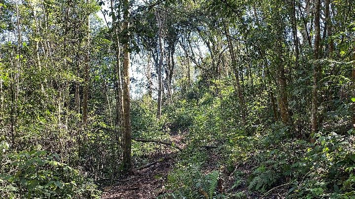 Sítio de 19 ha em Riozinho, RS