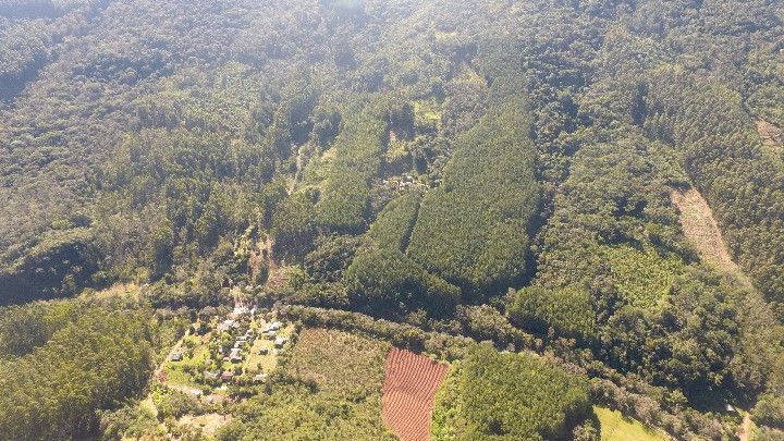 Sítio de 19 ha em Riozinho, RS