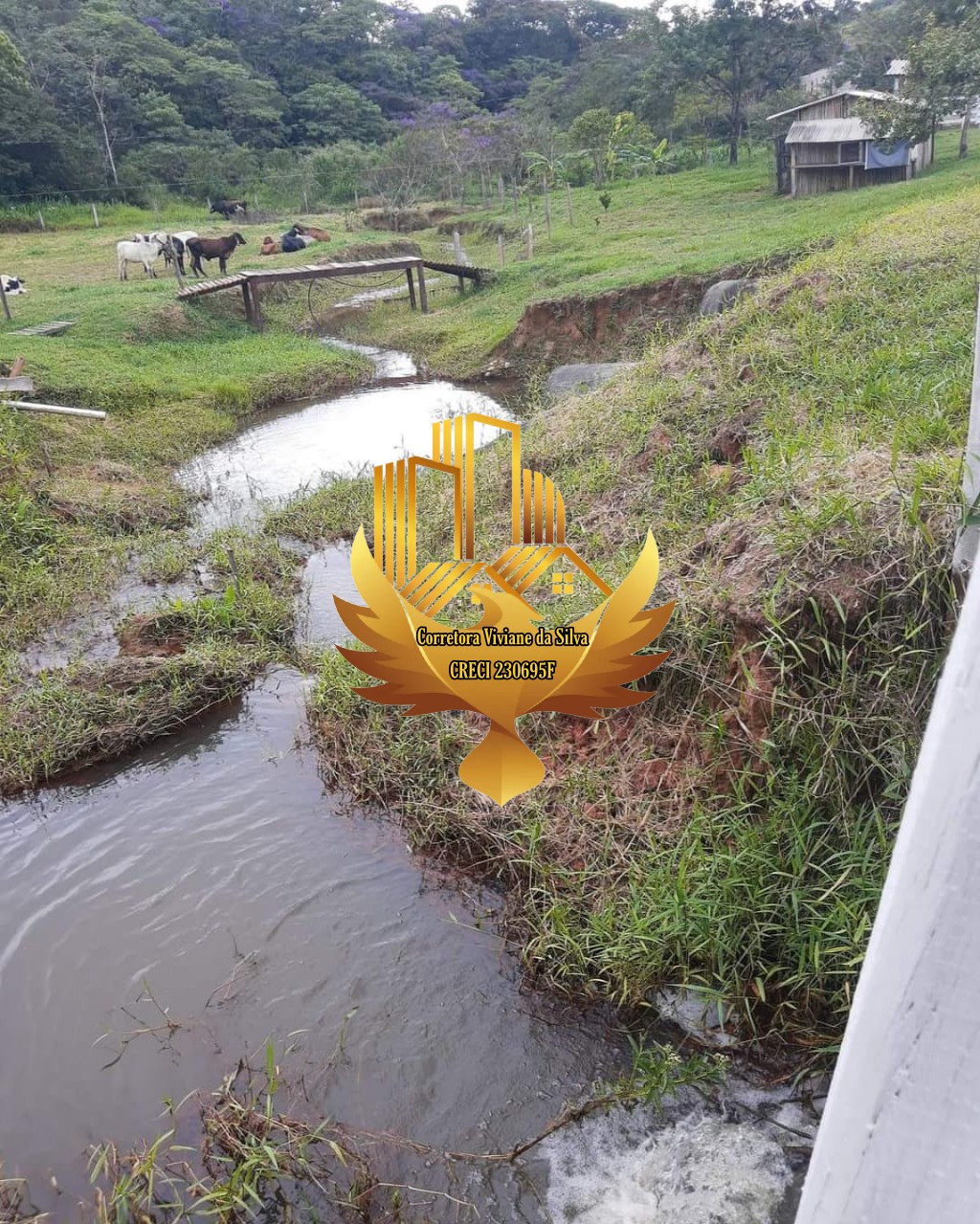 Sítio de 2 ha em Tremembé, SP