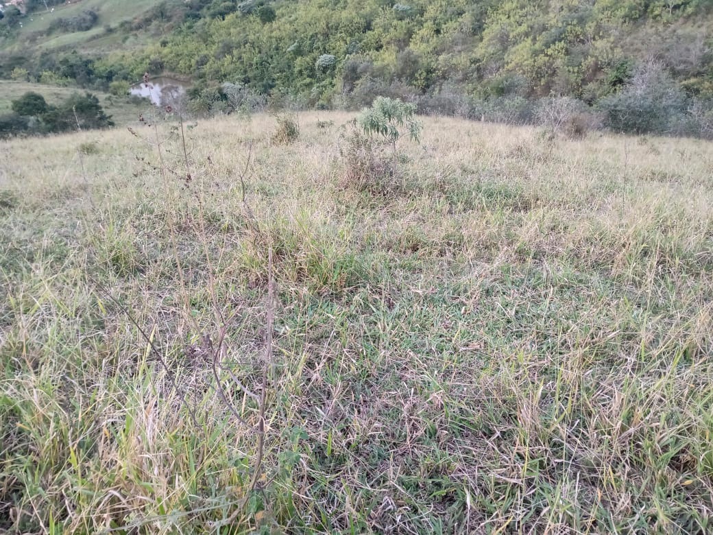 Terreno de 19 ha em Jacareí, SP