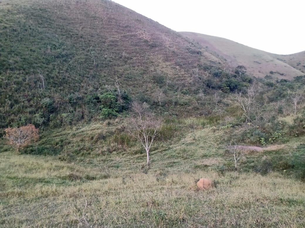 Terreno de 19 ha em Jacareí, SP