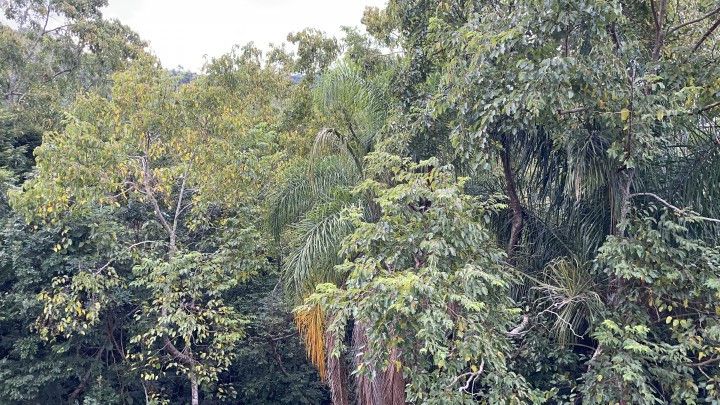 Terreno de 900 m² em Caraá, RS