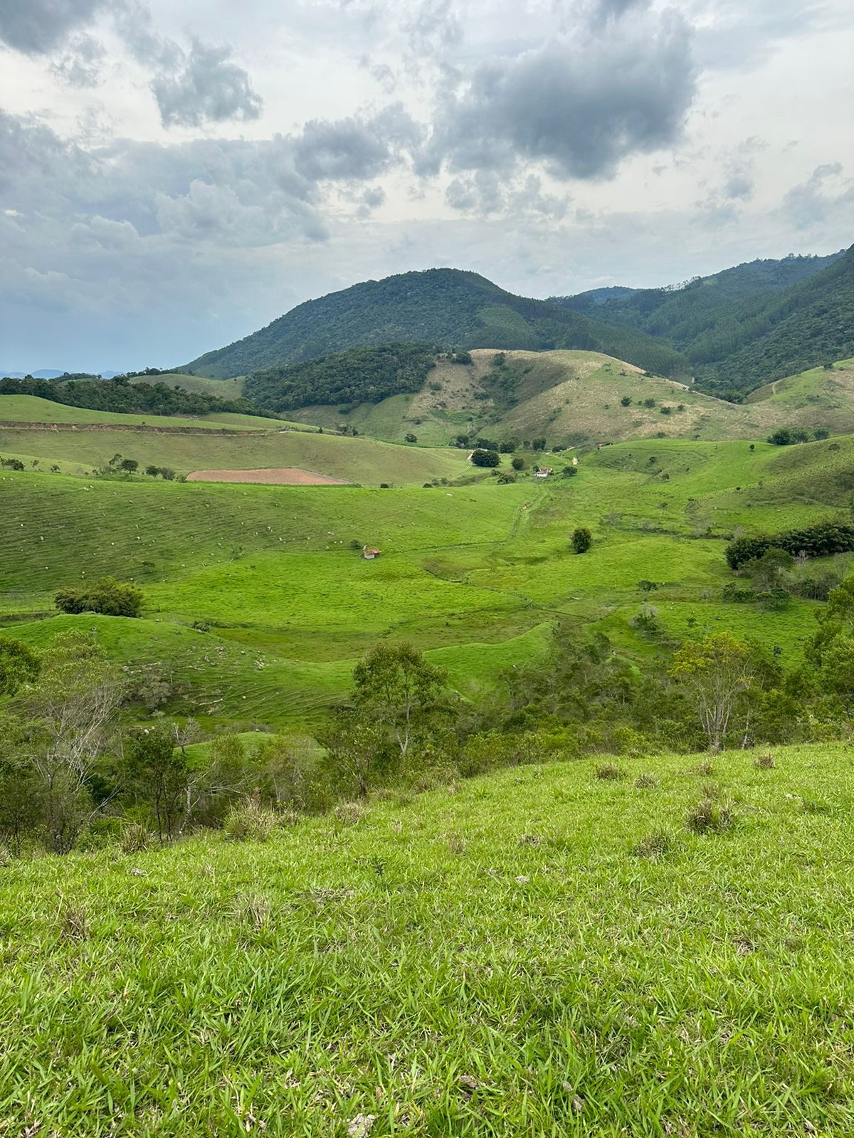 Sítio de 73 ha em Natividade da Serra, SP