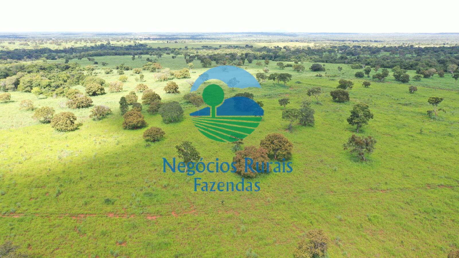 Fazenda de 1.180 ha em Araguapaz, GO