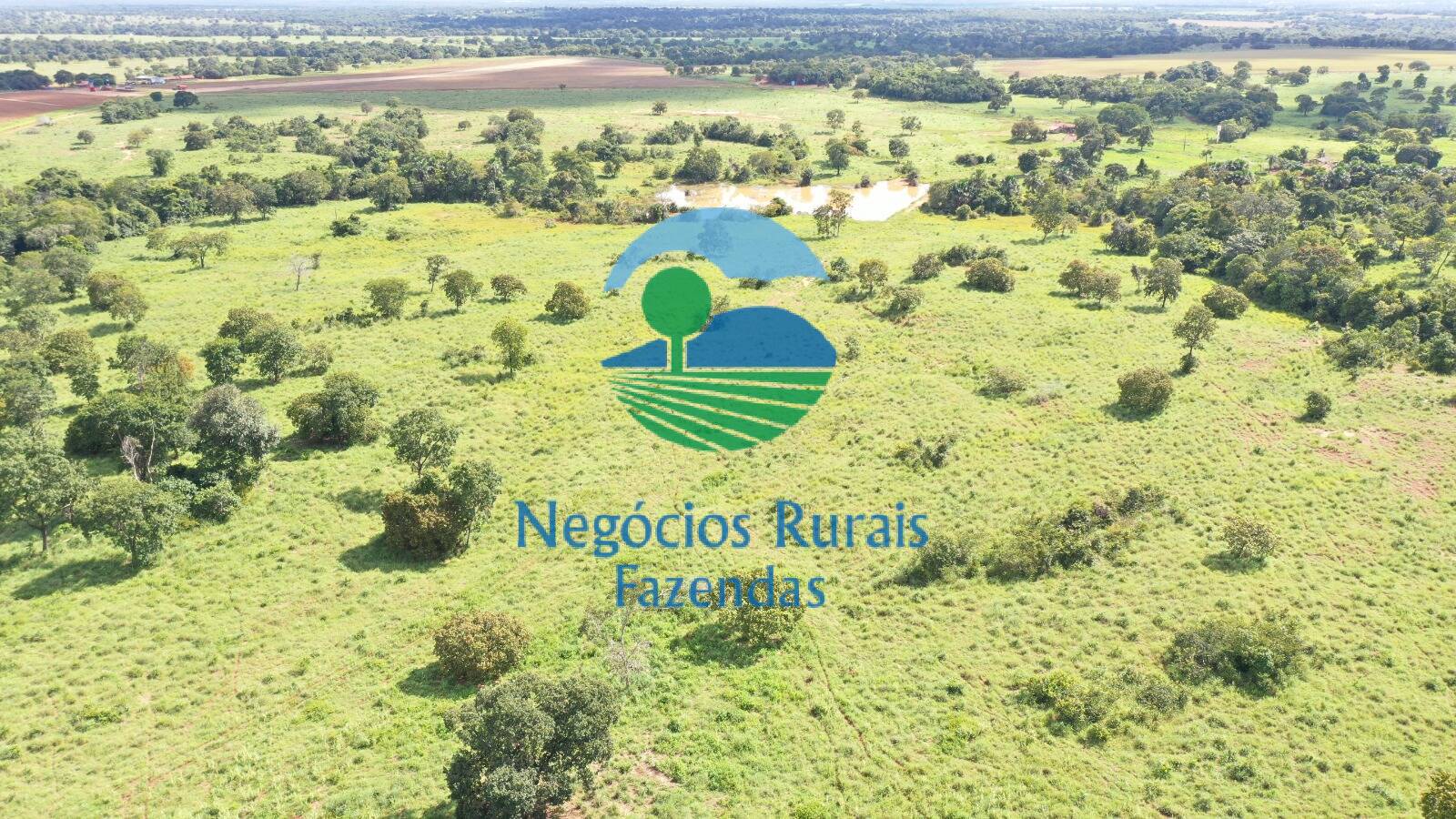 Fazenda de 1.180 ha em Araguapaz, GO